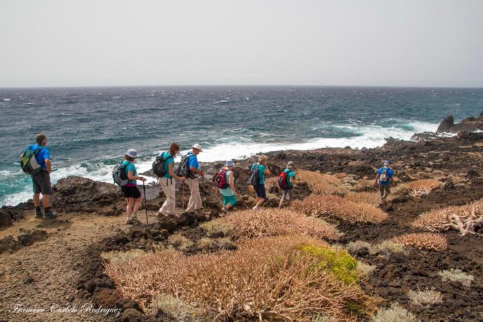 Piso Nuevo En El Puertito De Gueimar Al Lado Del Mar Realizamos Servicio De Excursiones Con Guia Пуэртито-де-Гуимар Экстерьер фото